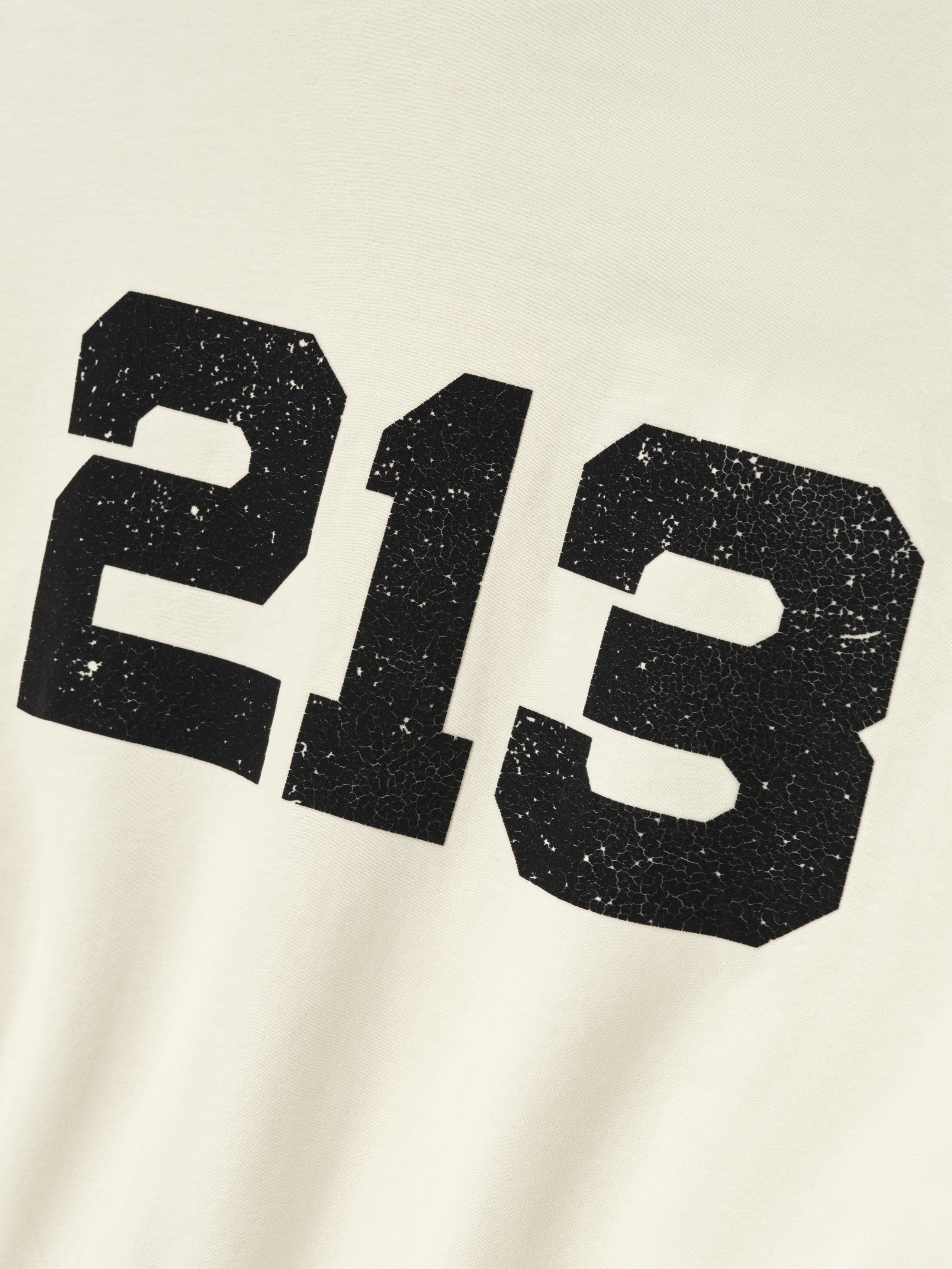 213 Chapter Hoodie
