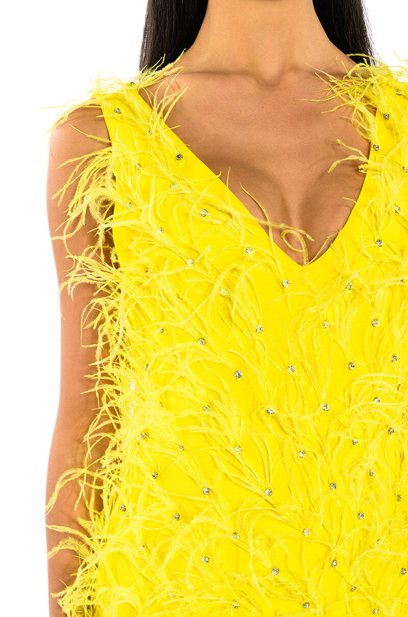 RENDEZVOUS SLEEVELESS FEATHER MINI DRESS