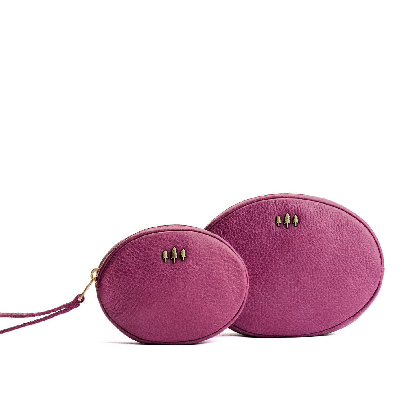 Almost Perfect' Roswell Pouch
