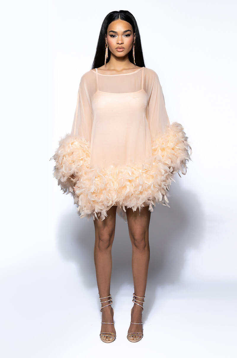 THAT VA VA VOOM LONG SLEEVE SHEER TRAPEZE DRESS