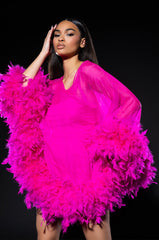 THAT VA VA VOOM LONG SLEEVE SHEER TRAPEZE DRESS